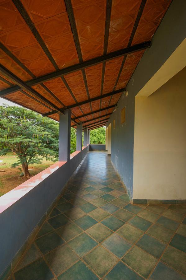 Wild Haven Hotel Masinagudi Exterior foto